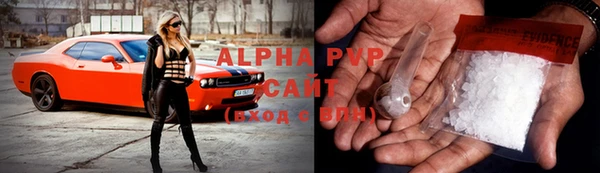 крисы Абаза