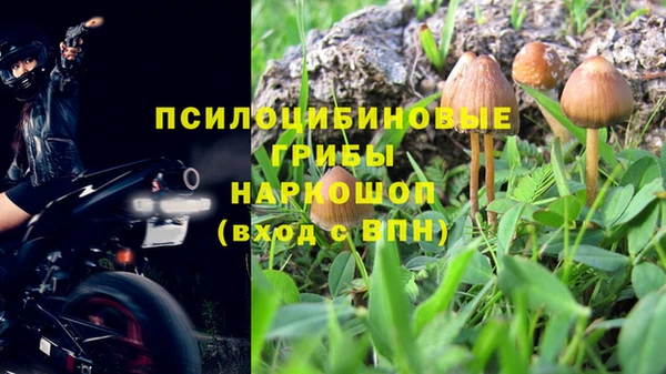 амф Абдулино