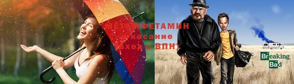 крисы Абаза