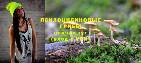 амф Абдулино