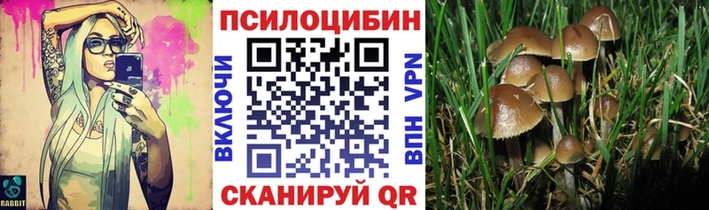 kraken tor  Шали  Псилоцибиновые грибы Cubensis  где продают наркотики 